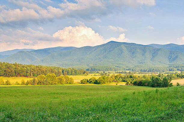 wilson-county-tn-vacant-land.jpg land buyers Wilson County Tennessee